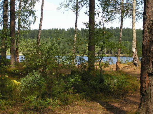 26662 (a): :1024x768